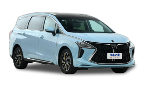 Коврики EVA на Forthing Yacht 2022-